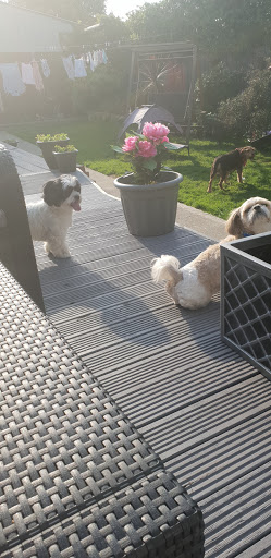 Inishowen window cleaning