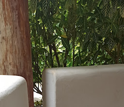 Riviera Maya Suites photo