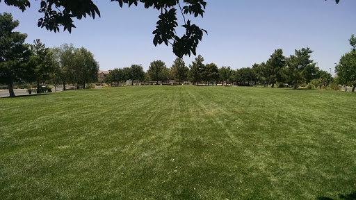 Rodeo Park Field