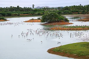 Koonthankulam Bird Sanctuary- Tirunelveli, Tamilnadu image