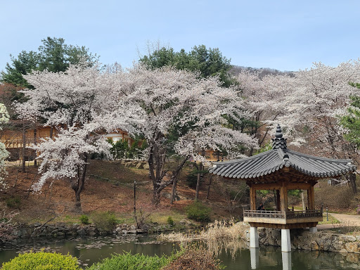 Academy of Korean Studies