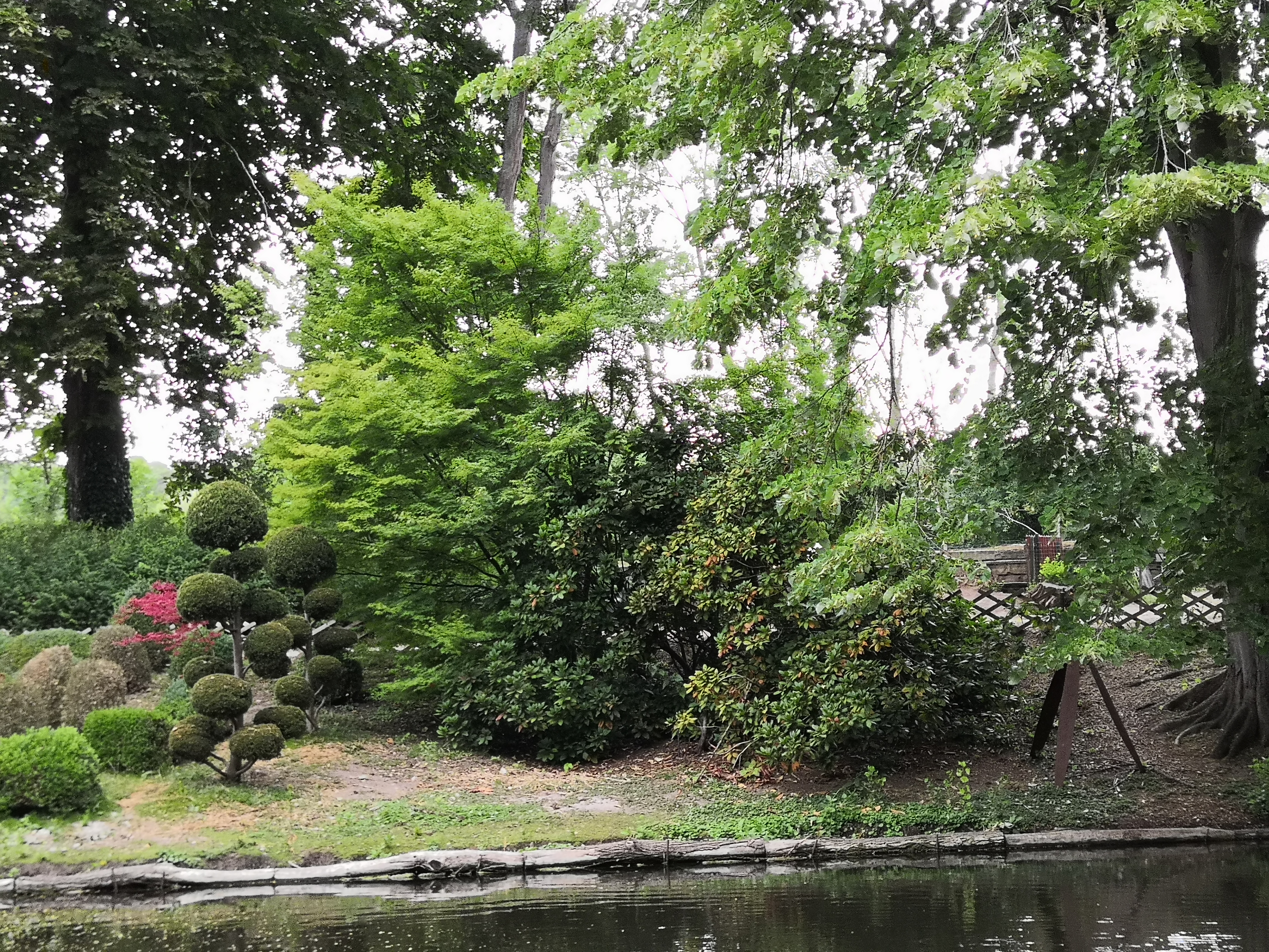 Photo n° 12 de l'avis de Alain.g fait le 31/07/2019 à 21:24