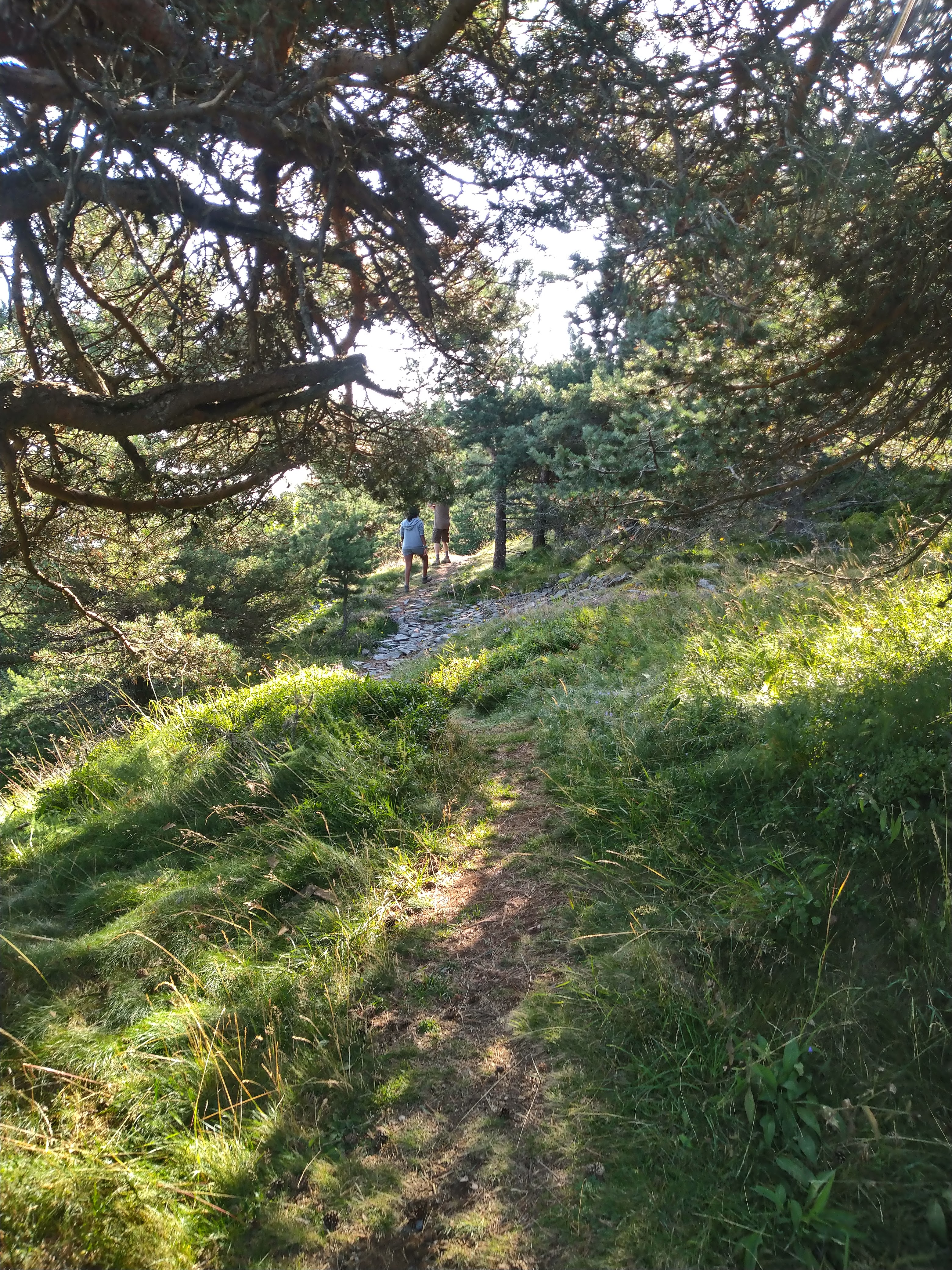 Photo n° 3 de l'avis de Ju.a fait le 14/08/2021 à 15:08