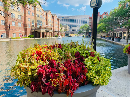 State Park «White River State Park», reviews and photos, 801 W Washington St, Indianapolis, IN 46204, USA