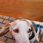 Photo n°1 de l'avis de Lisa.e fait le 01/05/2023 à 16:32 sur le  Gasthof Juraschenke à Lichtenfels