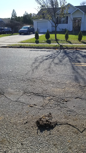 Self-Storage Facility «Simply Self Storage - Bayport», reviews and photos, 709 Church St, Bayport, NY 11705, USA