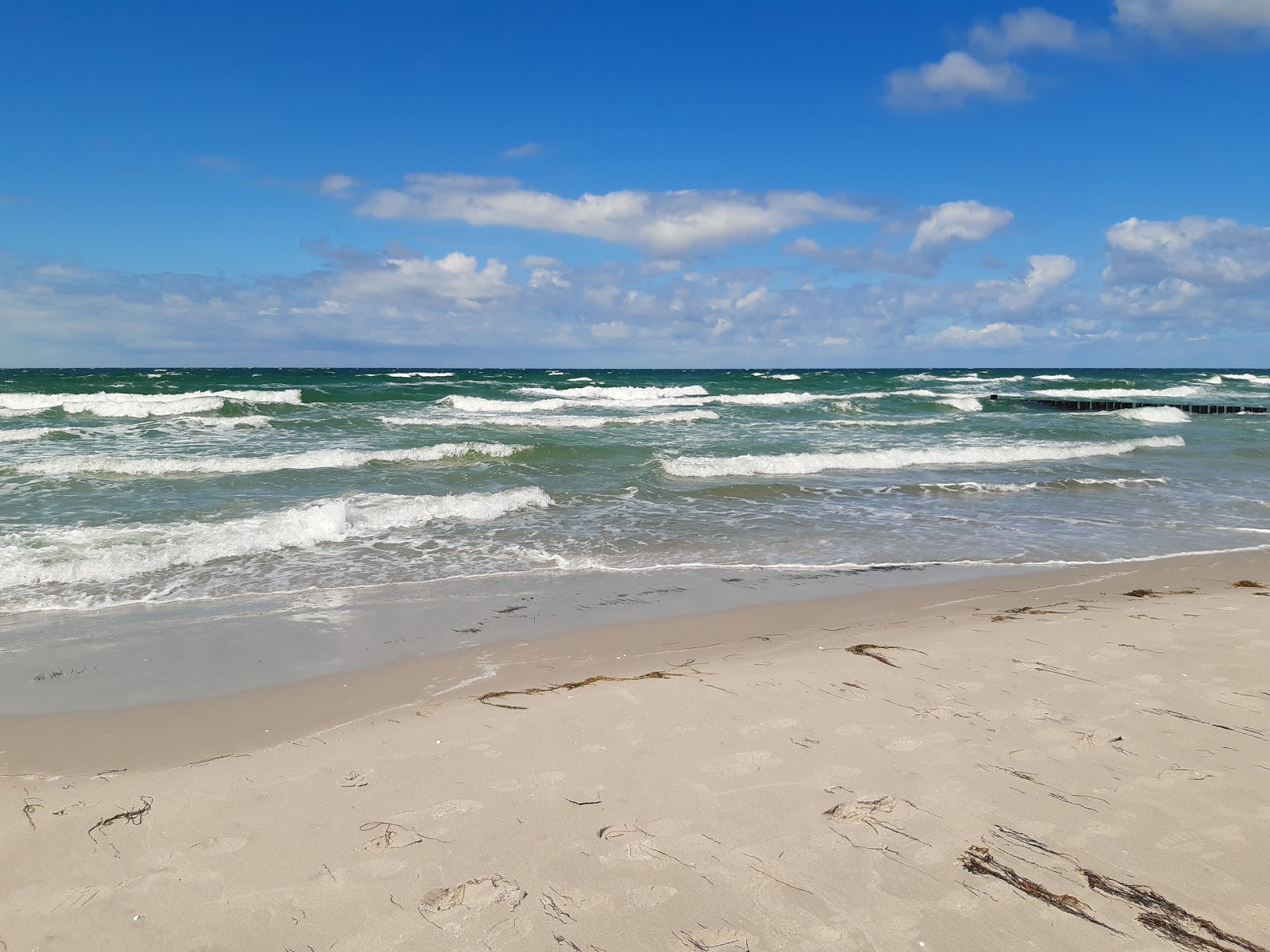 Strand Hiddensee'in fotoğrafı vahşi alan