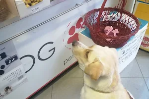 Dog Family pet store image