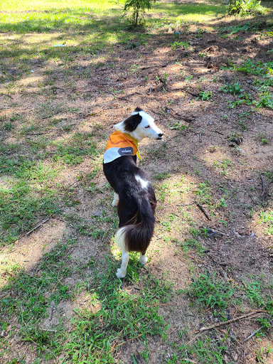 Pet Supply Store «PetSmart», reviews and photos, 5226 S College Rd, Wilmington, NC 28412, USA