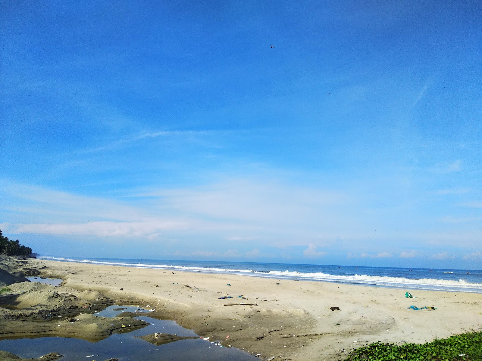 Fotografija Chellanam Beach Kochi in naselje