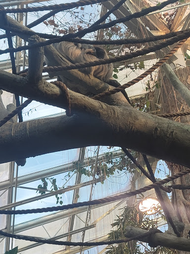 Zoo «Monkey Island», reviews and photos, 8 E 23rd Ave, Denver, CO 80205, USA