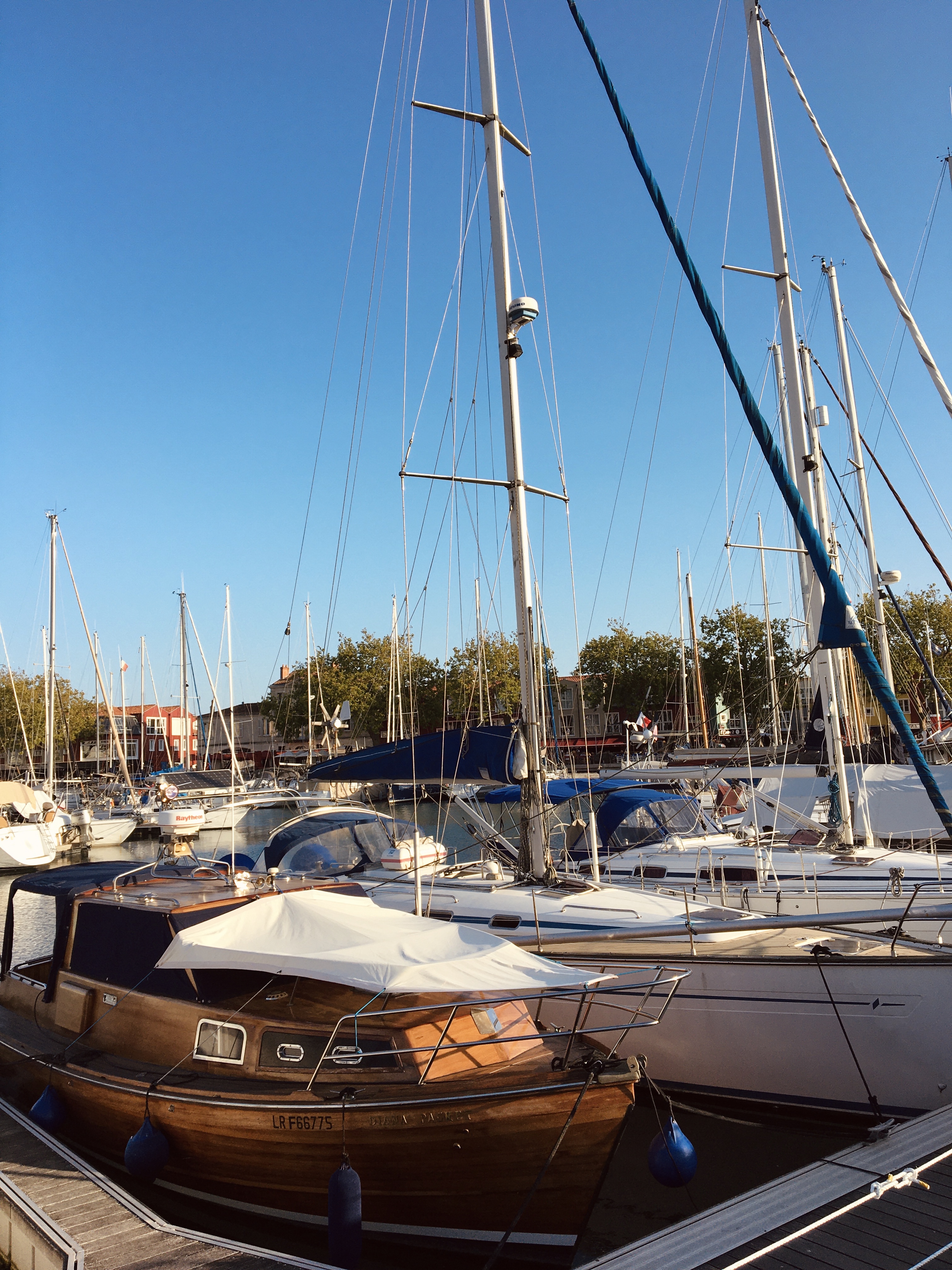 Photo n° 2 de l'avis de Daline.a fait le 25/10/2021 à 19:23