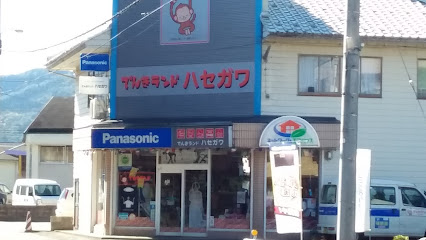 Panasonic shop ハセガワデンキ