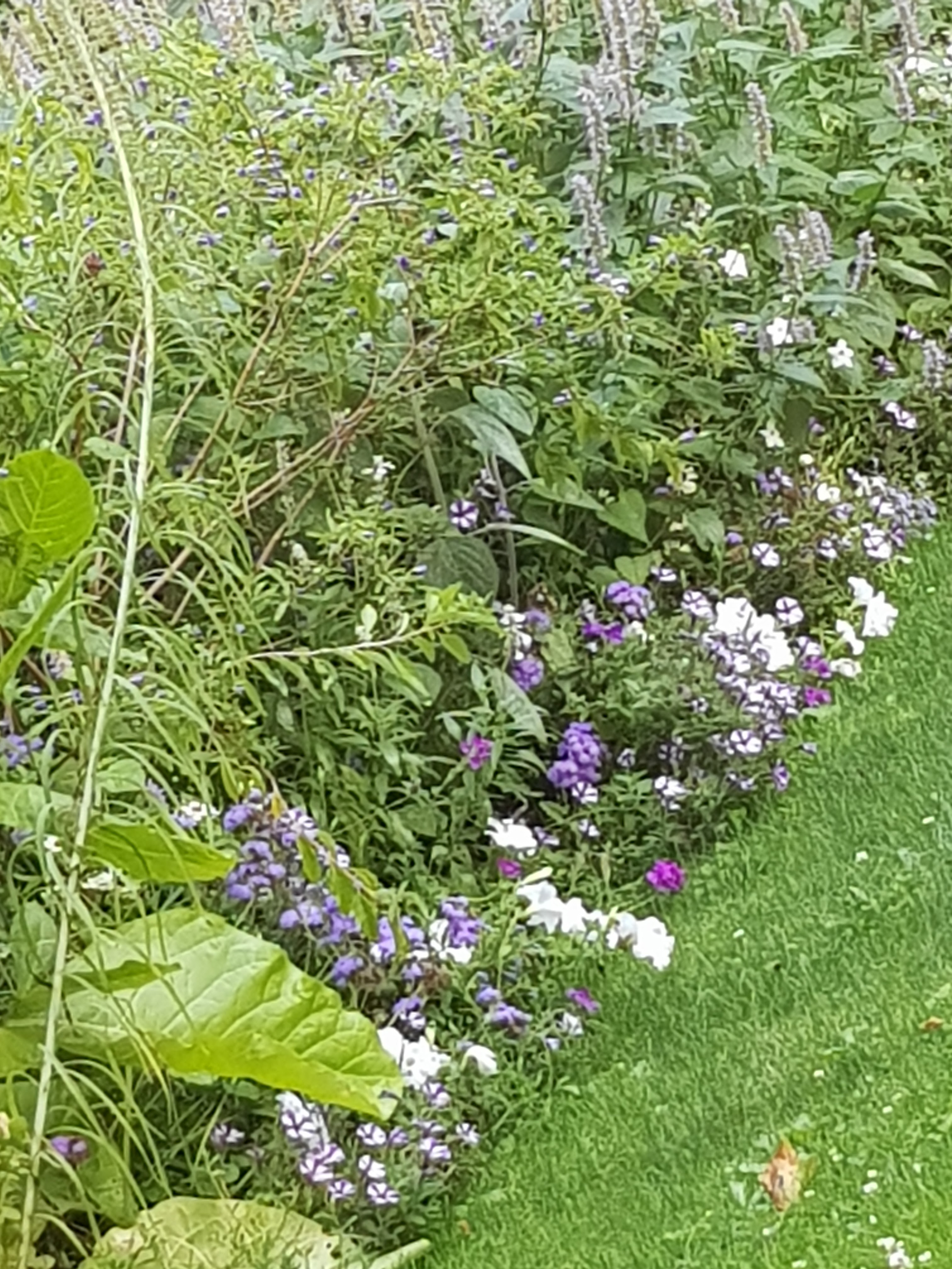 Photo n° 5 de l'avis de Christel.a fait le 13/08/2019 à 20:11