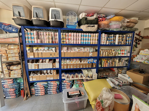 Bücürük Petshop | Kağıthane İstanbul - Evcil Hayvan Malzemeleri Mağazası