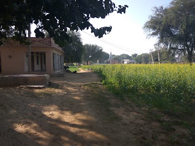 Gopalpura Govt School