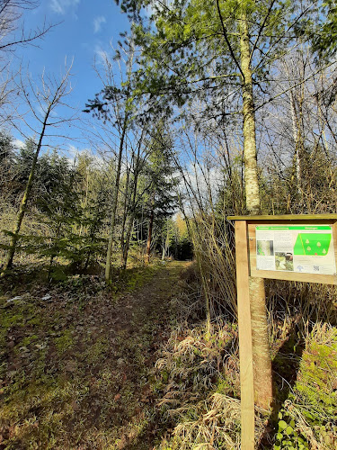 Waldackerweg, 8604 Volketswil, Schweiz