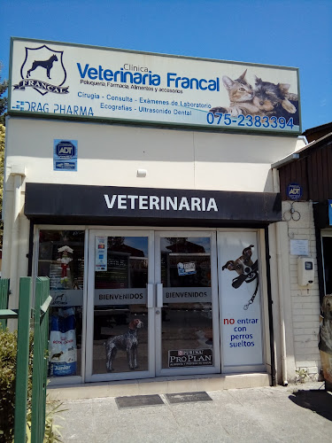 Veterinaria Francal - Curicó