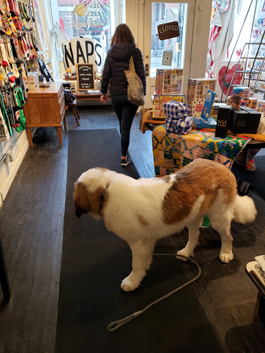 General Store «Judy Maxwell Home», reviews and photos, 1349 N Wells St, Chicago, IL 60610, USA