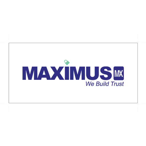 Maximus Consulting (Hong Kong) Limited