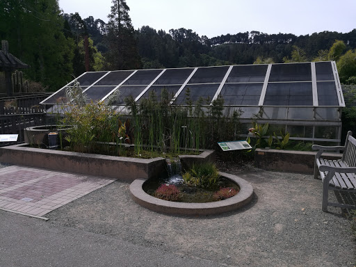 Greenhouse Berkeley