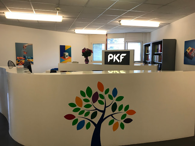 PKF Fiduciaire SA