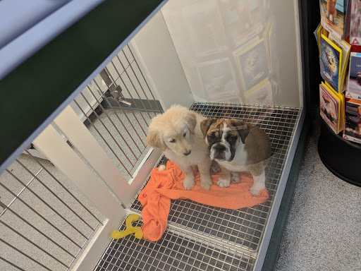 Pet Store «Petland Montgomery», reviews and photos, 7127 Eastchase Pkwy, Montgomery, AL 36117, USA