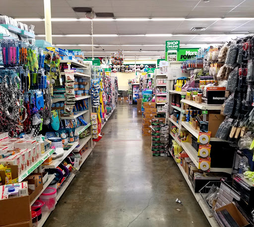 Dollar Store «Dollar Tree», reviews and photos, 3730 San Pablo Dam Rd, El Sobrante, CA 94803, USA