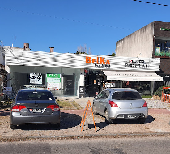 Belka Pet Shop - Ciudad de la Costa