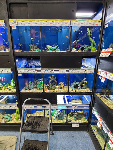 Pet Supply Store «Pet Supplies Plus», reviews and photos, 6845 Highland Rd, White Lake, MI 48383, USA