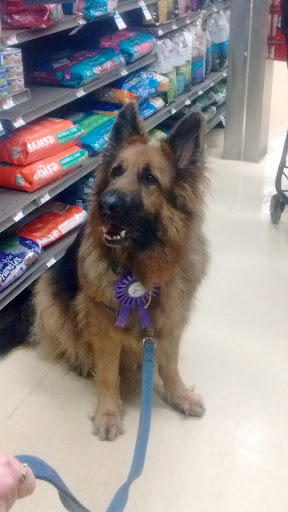 Pet Supply Store «Petco Animal Supplies», reviews and photos, 168 Ames Dr, Barre, VT 05641, USA