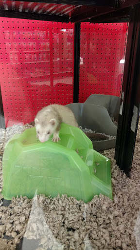 Pet Supply Store «Petco Animal Supplies», reviews and photos, 6425 Keizer Station Blvd, Keizer, OR 97303, USA