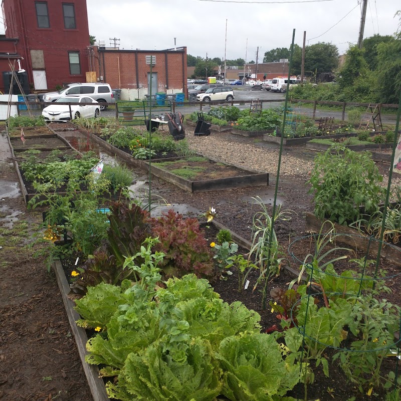 Belmont Community Gardens