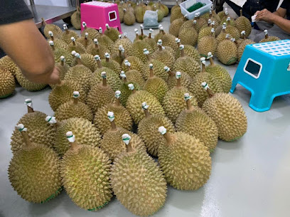 One Family Durian Trading 一家親榴蓮貿易