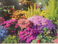 TechFios - Photo 2 - Car repair in Carrollton, TX, Carrollton