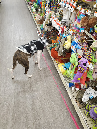 Pet Supply Store «Pet Supplies Plus», reviews and photos, 8810 S Emerson Ave Suite 180, Indianapolis, IN 46237, USA