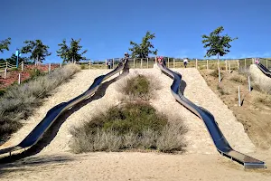 Valdebebas-Felipe VI Park image