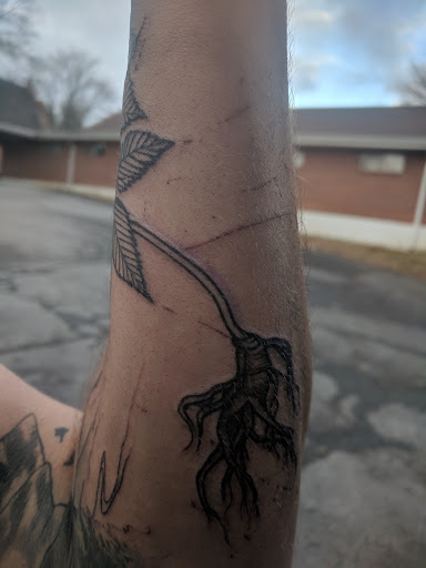 Tattoo Shop «Thistle and Pearl Tattoo», reviews and photos, 107 Merrimon Ave #310, Asheville, NC 28801, USA