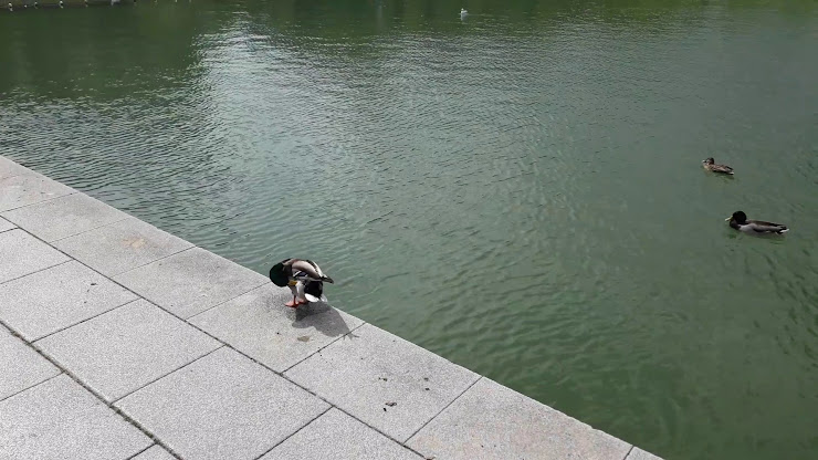 Vidéos hôtels Hotel Catalonia Sabadell 08206 Sabadell