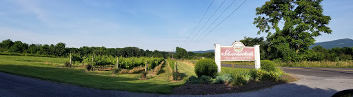Winery «Shenandoah Vineyards», reviews and photos, 3659 S Ox Rd, Edinburg, VA 22824, USA