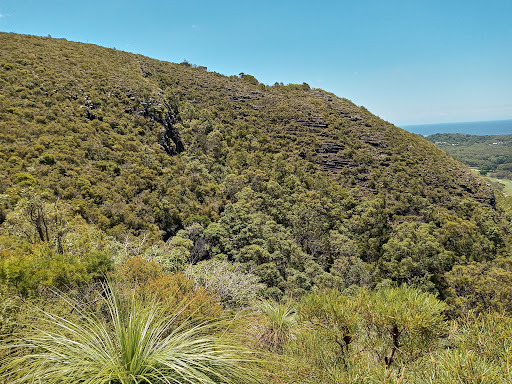 Mount Coolum National Park