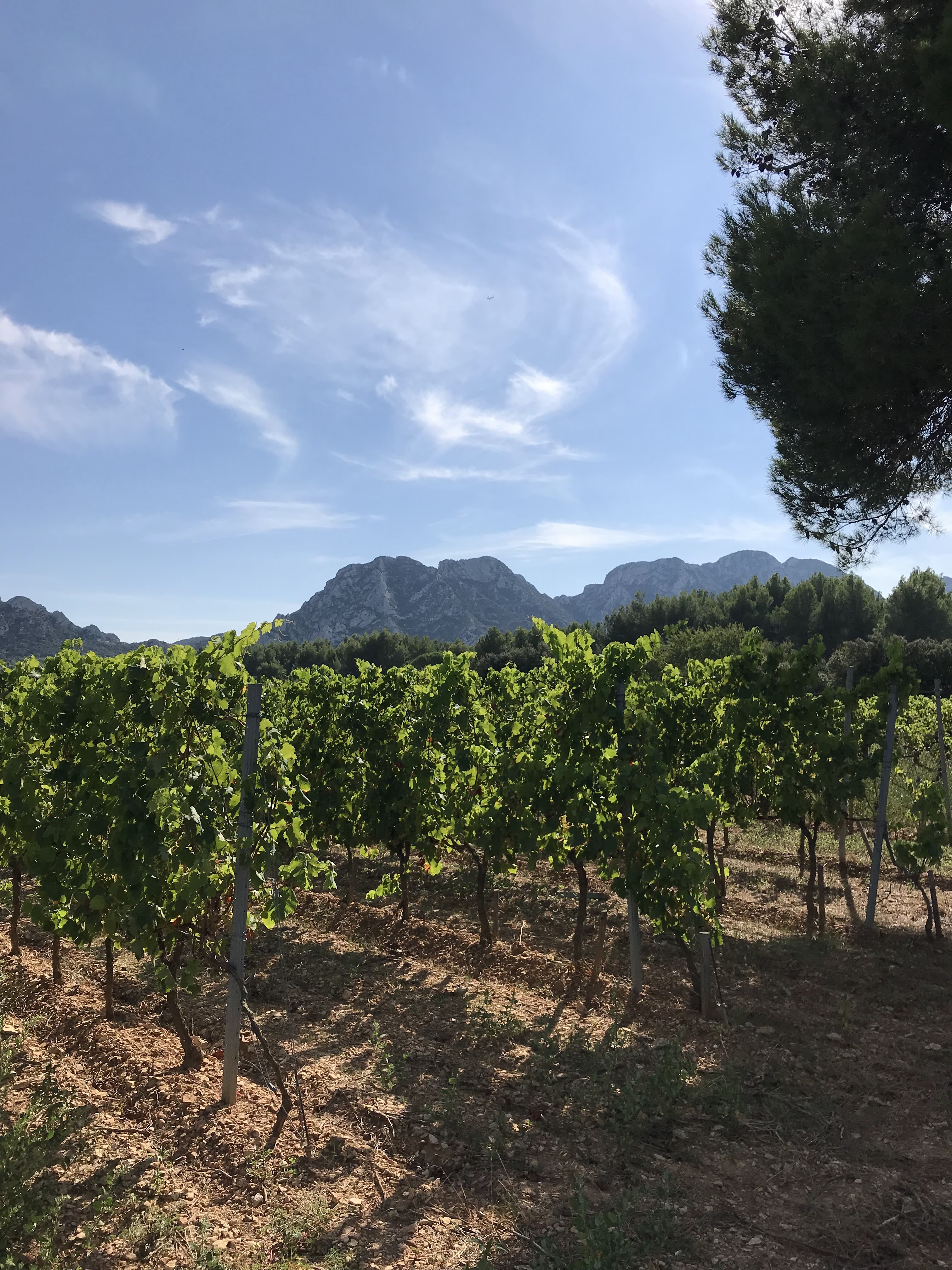 Photo n° 1 de l'avis de Bérengère.a fait le 08/09/2018 à 14:37