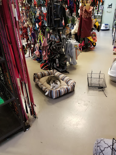 Pet Store «Village Pets», reviews and photos, 8522 Madison Ave, Fair Oaks, CA 95628, USA