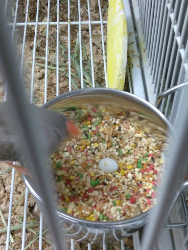 Pet Supply Store «Pet Supplies Plus», reviews and photos, 700 Boston Rd Suite 12b, Billerica, MA 01821, USA