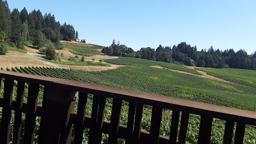 Winery «Elk Cove Vineyards», reviews and photos, 27751 NW Olson Rd, Gaston, OR 97119, USA