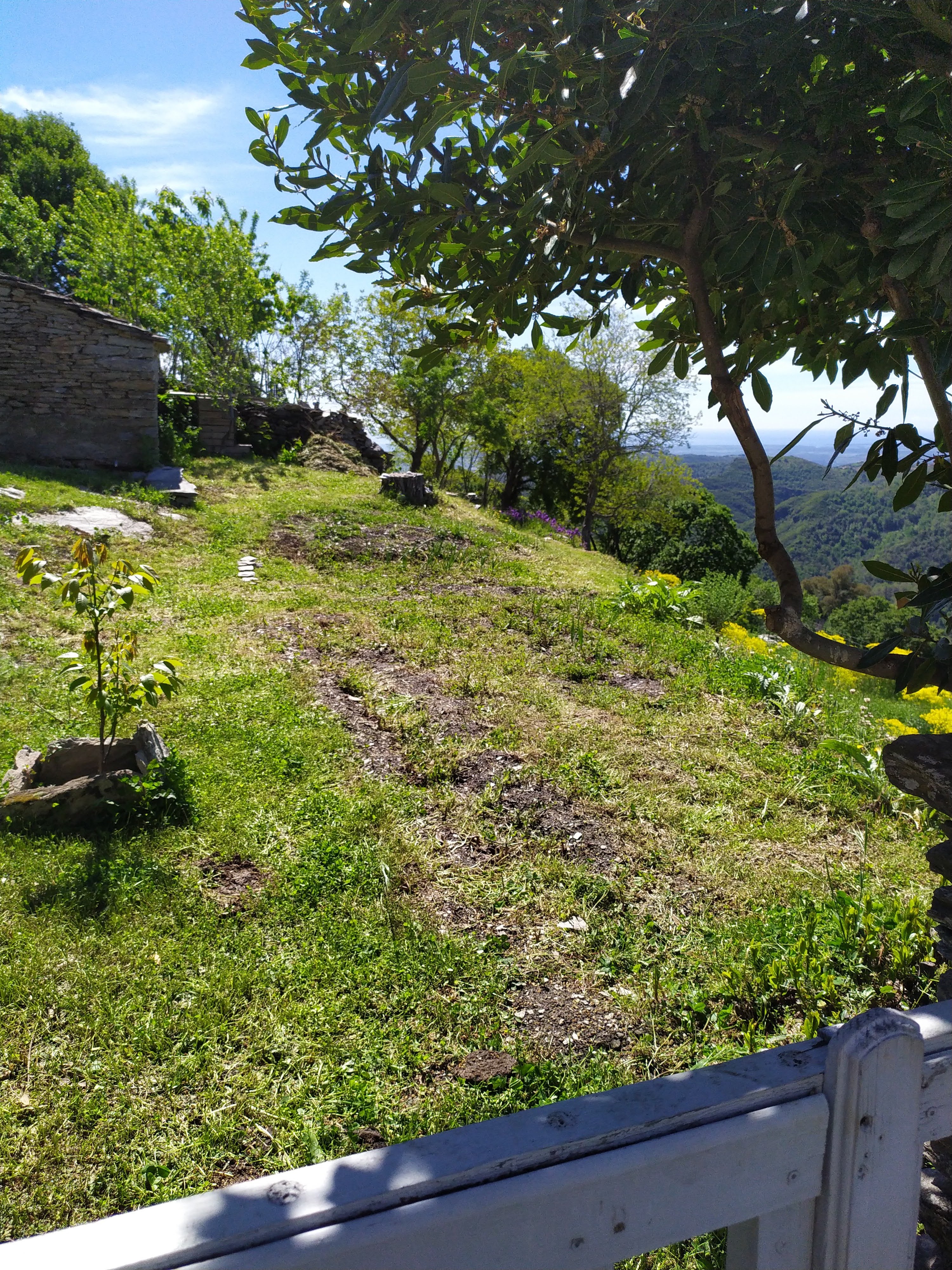Photo n° 2 de l'avis de Francis.i fait le 14/05/2021 à 15:48