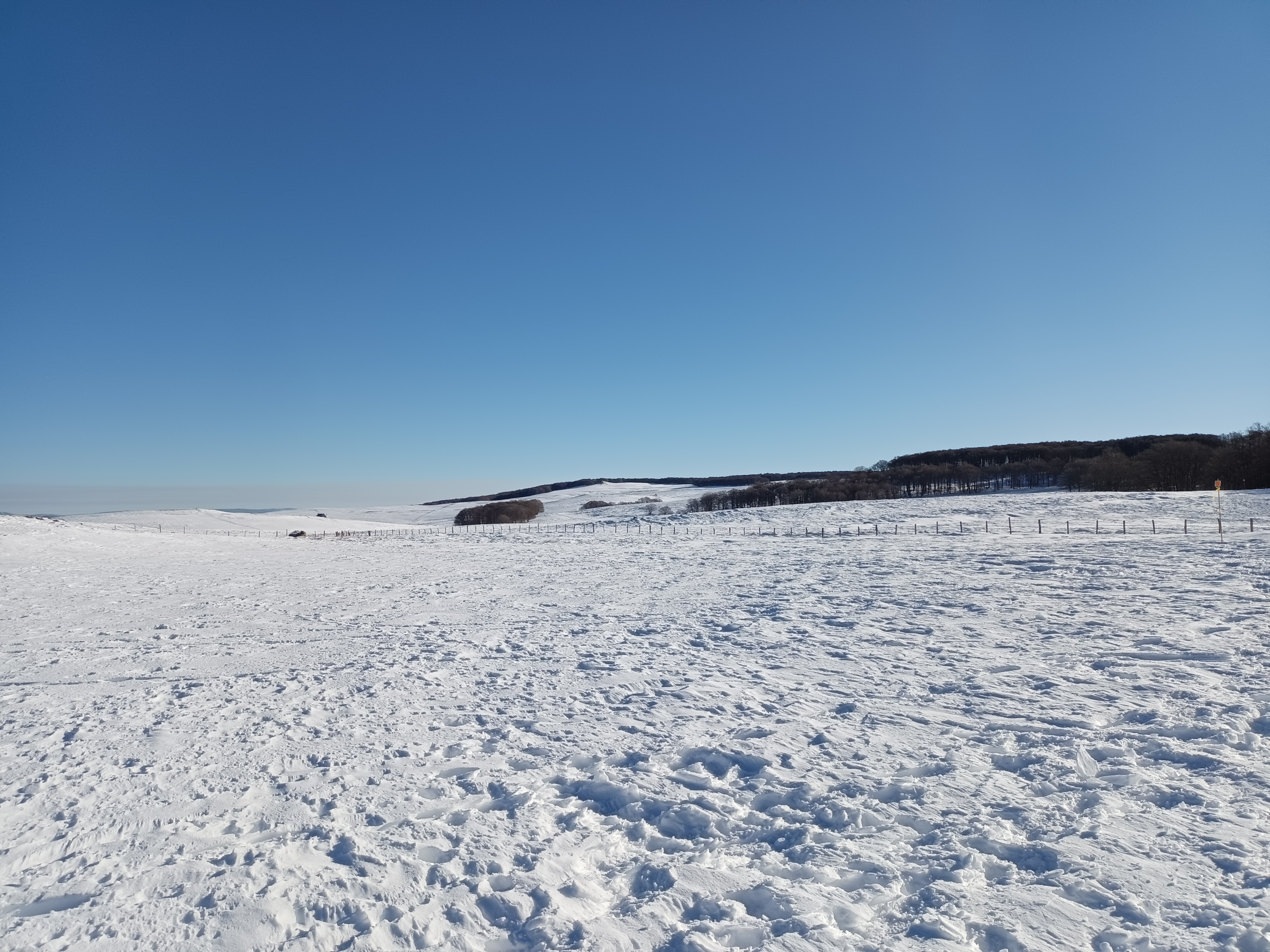 Photo n° 1 de l'avis de Marie-Josée.i fait le 25/01/2022 à 15:10