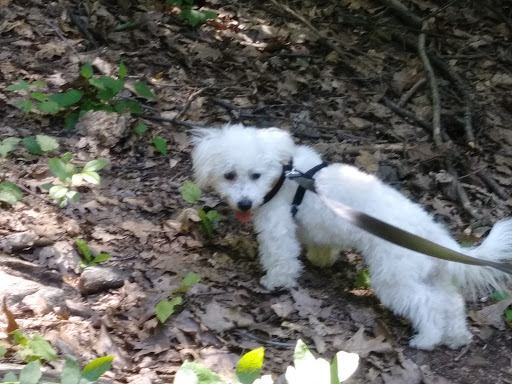 Park «Mills Reservation County Park», reviews and photos, Highland Ave, Cedar Grove, NJ 07009, USA