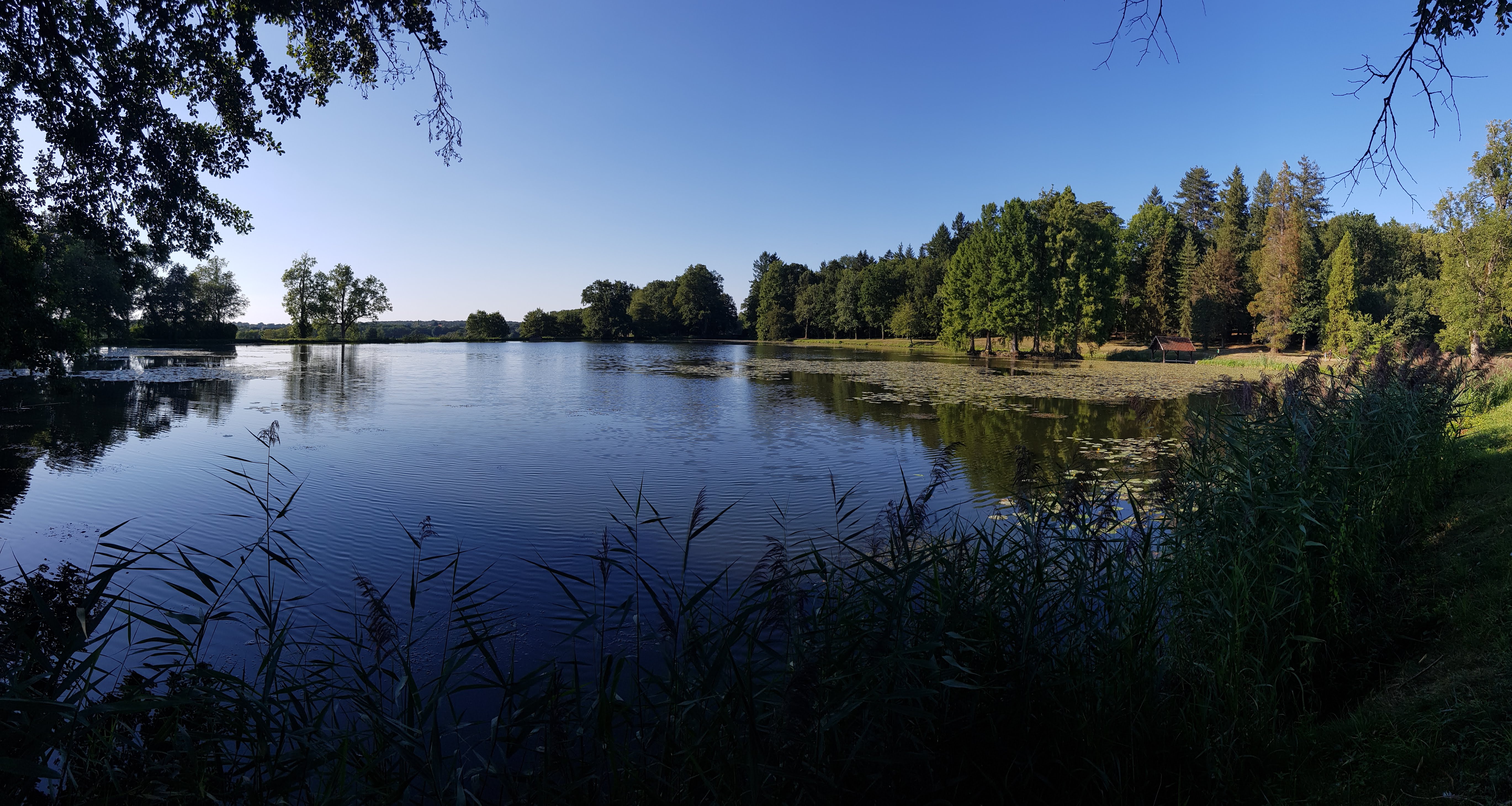 Photo n° 8 de l'avis de Lionel.L fait le 29/08/2019 à 11:24