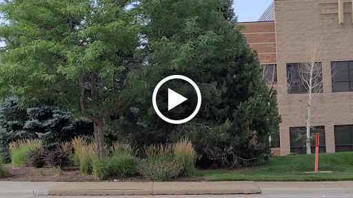 Day Care Center «Little Peoples Landing Learning Center», reviews and photos, 122 Plaza Dr, Highlands Ranch, CO 80126, USA